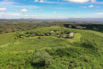 Crater Forest Tented Camp: Strohdach-Hütten am Mittag bei Sonnenlicht