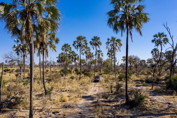 Gomoti Plains Camp: Tiere und Landschaft
