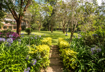 House of Waine: Garten