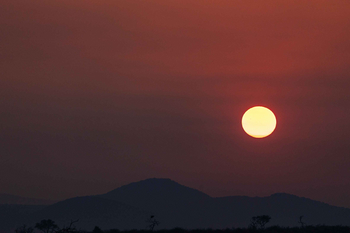 Jamala Madikwe: Sonnenuntergang über Savannenlandschaft mit Silhouetten