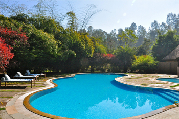 Jim's Jungle Retreat: Swimming Pool