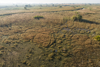Kala Camp: Walking Safari