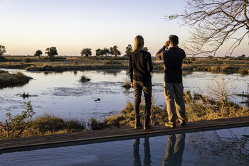 King's Pool Camp King's Pool Camp: Wildbeobachtung