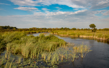 Lagoon Camp Lagoon Camp: Lagune