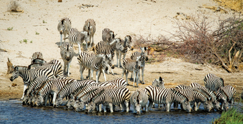Leroo La Tau Lodge: Tagesziel erreicht