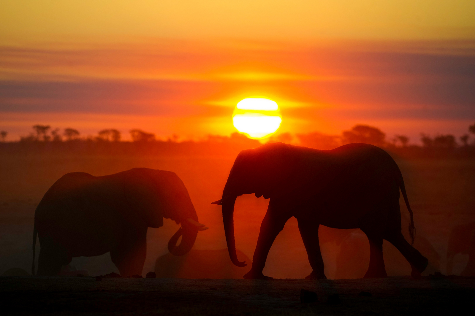 Little Makalolo Camp Little Makalolo Camp: Sonnenuntergang