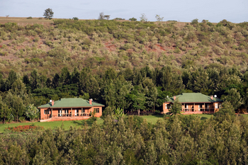 Ngorongoro Farmhouse: Farm