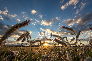 Old Traders Lodge: Landschaft