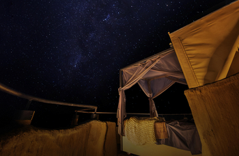 Puku Ridge Camp: Starbed