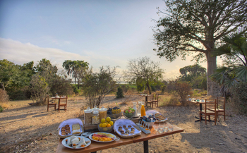 Roho ya Selous Camp: Buffet im Freien