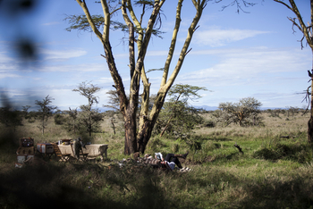 Segera Retreat: Bush Lunch