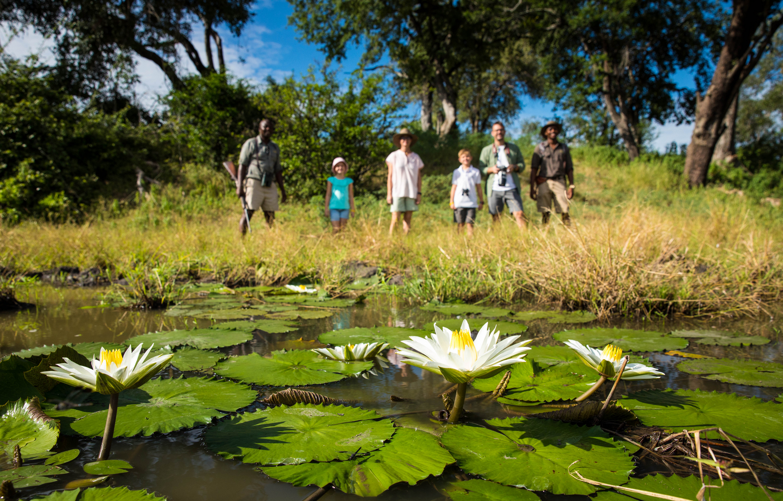Tembo Plains Camp Tembo Plains Camp: Seerosen