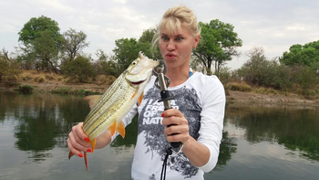 Victoria Falls River Lodge Victoria Falls River Lodge: Tiger Fish