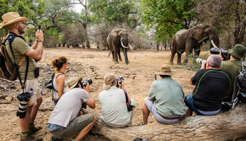 Vundu Camp Vundu Camp: Walking Safari