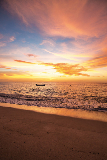 Astove Coral House: Landschaft