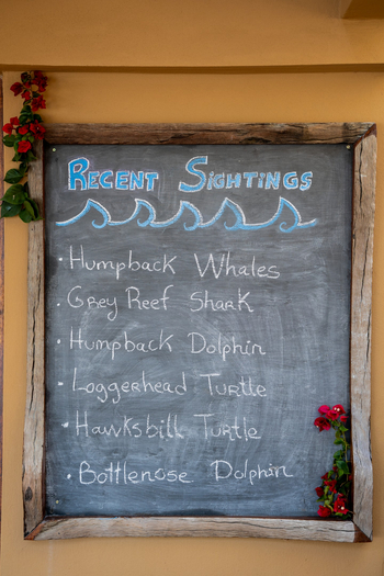 Azura Benguerra Island: Wassersportcenter