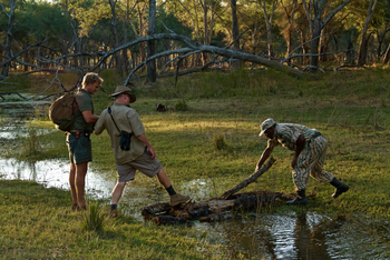 Classic Zambia Safaris Classic Zambia Safaris: Walking Safari