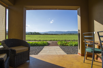 Farm House Valley Lodge: Blick aus dem Gästezimmer