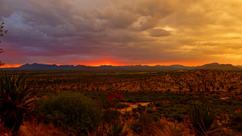 GocheGanas: Abendglühen