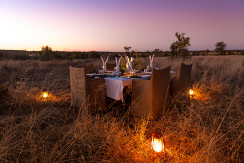 Hwange Bush Camp: Bush Dinner Esstisch