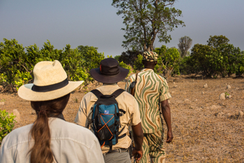 Ila Safari Lodge Ila Safari Lodge: Walking Safari