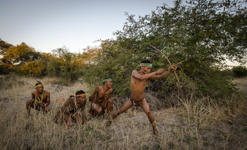 Meno A Kwena Camp Meno A Kwena Camp: Buschmänner