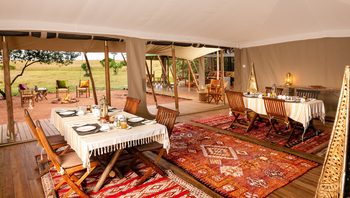 Saruni Wild: Essbereich