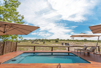 Savute Safari Lodge: Swimming Pool