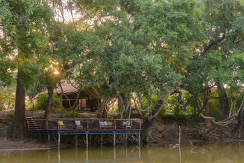 Big Lagoon Camp: Viewing Deck