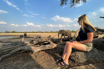 Camp Hwange: Ruhige Beobachtung