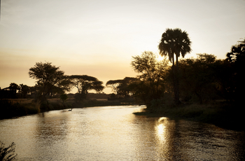 Chada Katavi Camp: Katima-Fluss in der Dämmerung
