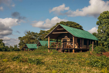 Crater Forest Tented Camp: Safari-Zelte unter Morgenlicht im Busch