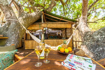 Delta Camp Delta Camp: Chalet