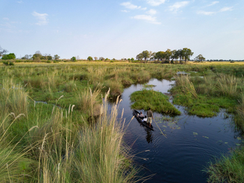 Duba Explorers Camp: Poler mit Gästen