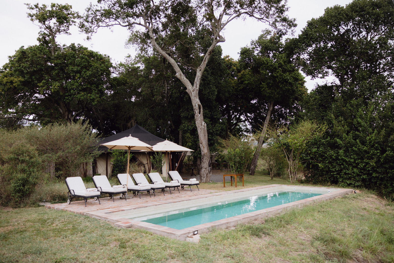 Elewana Sand River Masai Mara Camp Elewana Sand River Masai Mara Camp: Swimming Pool