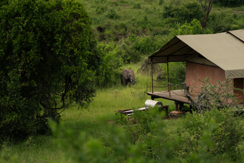 Elewana Serengeti Migration Camp: Elefanten nahe der Gästezelte