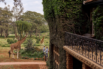 Giraffe Manor: Giraffenerlebnis