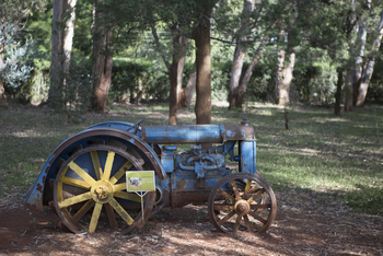 Giraffe Manor: Karen Blixen Museum