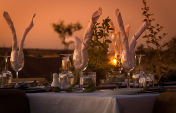 Hwange Bush Camp: Bush Dinner