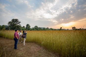 Kings Lodge: Nature Trail