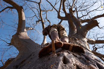 Kisima Ngeda Camp: Begegnung mit den Menschen am See