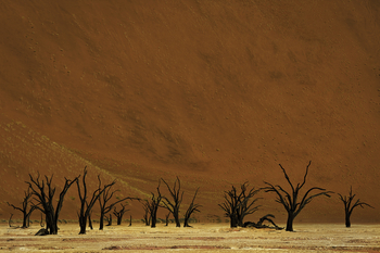 Kwessi Dunes: Tote Bäume und Deadvlei