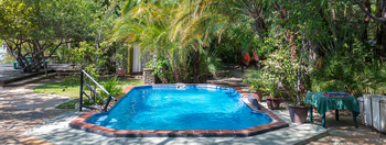 Mahangu Safari Lodge: Pool