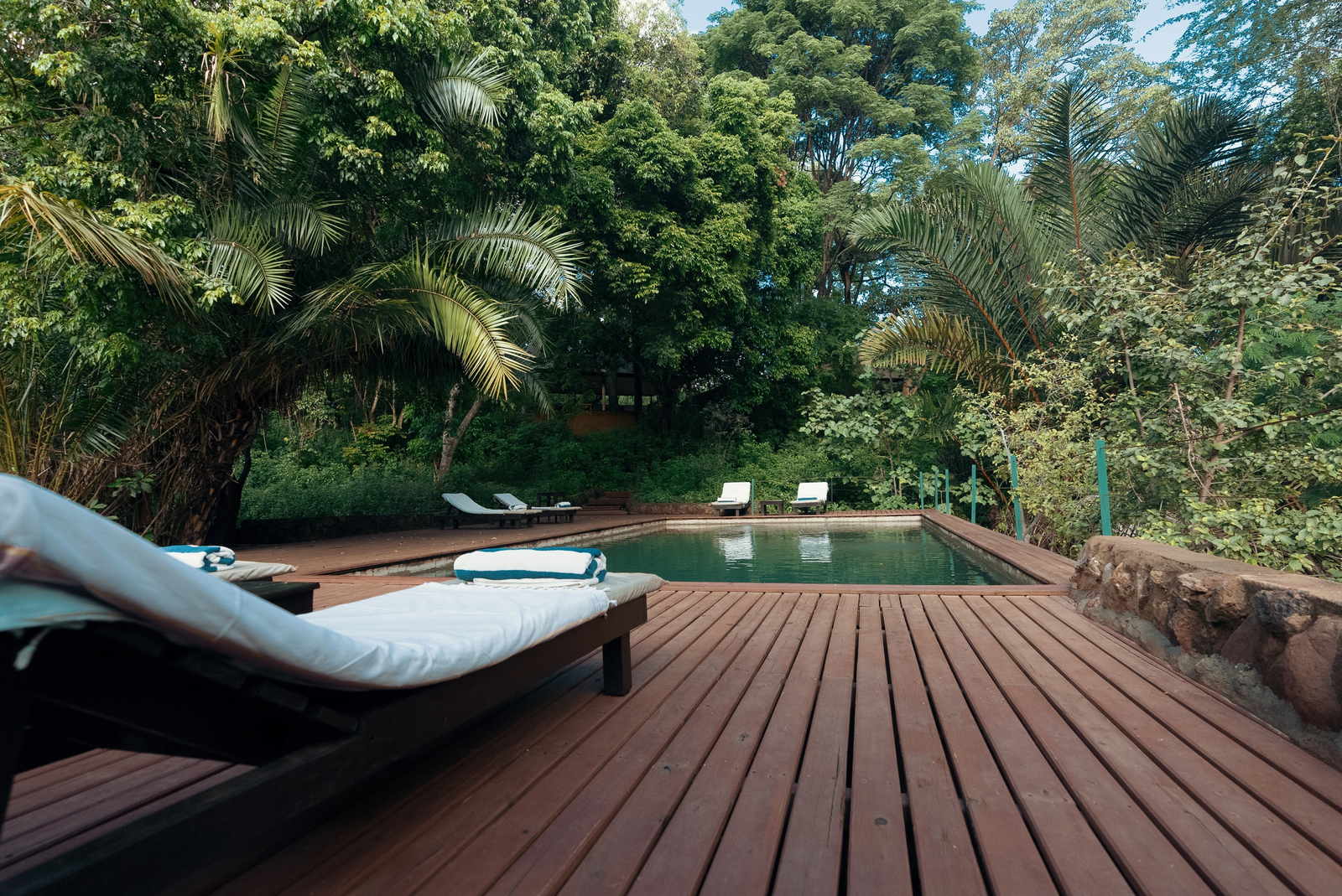 Rhino River Camp Rhino River Camp: Liegestühle