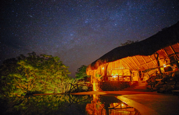Sarara Tree: Bei Nacht