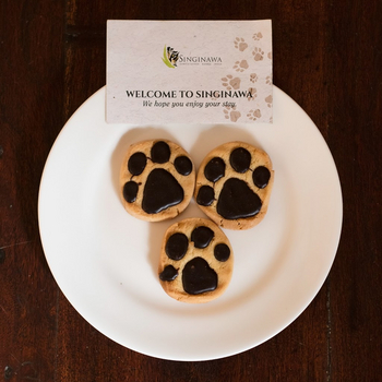 Singinawa Jungle Lodge: Tiger Paw Cookies