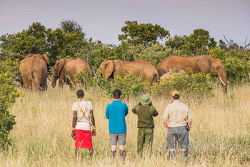 Siruai Exclusive Mobile Camp: Walking Safari