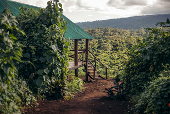 Crater Forest Tented Camp: Holzterrasse im Lush Forest am Morgen