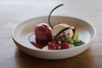 Forest Chem Chem: Küche