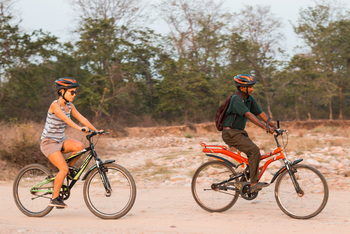 Jim's Jungle Retreat: Cycling